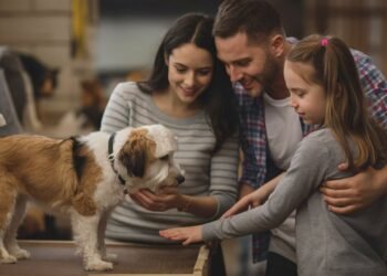 How to Choose the Right Dog for You